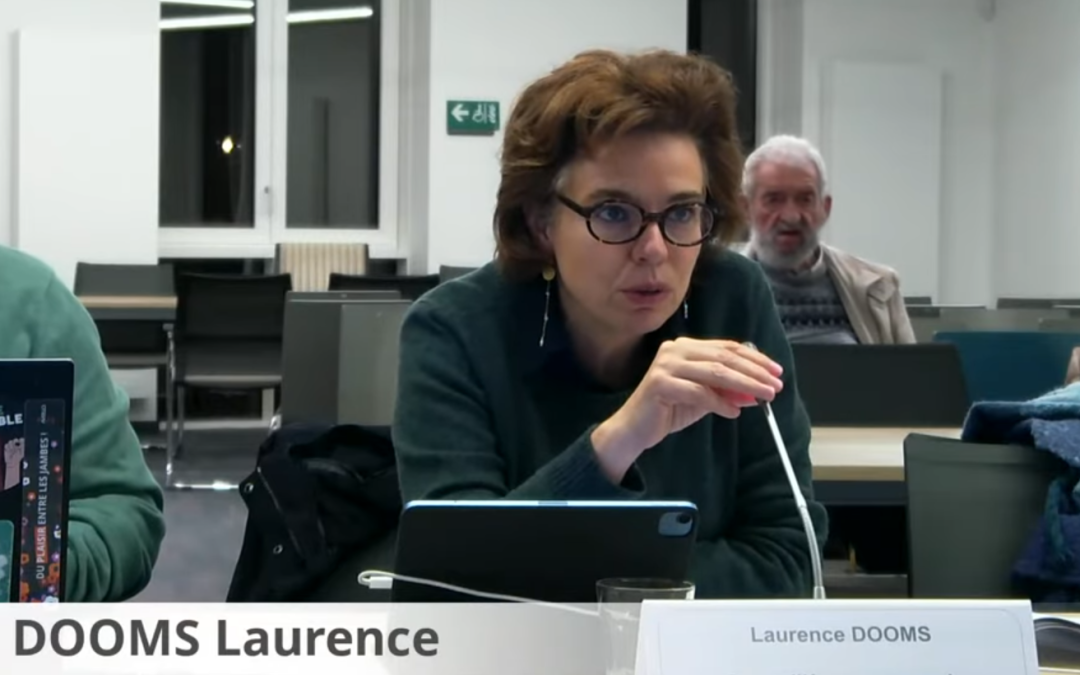 Conseil communal du 4 novembre 2025